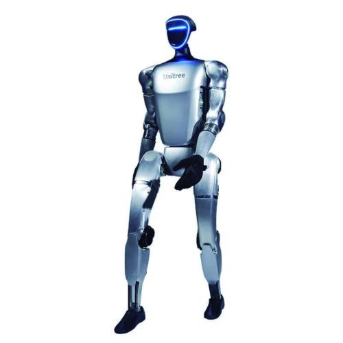 Robot humanoide
